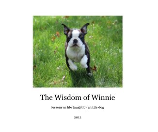 The Wisdom of Winnie book cover