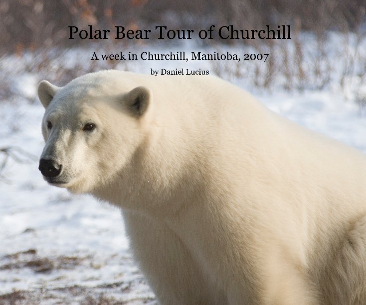 Ver Polar Bear Tour of Churchill por Daniel Lucius