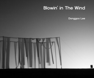 Blowin' in The Wind book cover