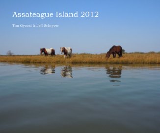 Assateague Island 2012 book cover