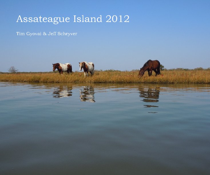 View Assateague Island 2012 by Tim Gyovai & Jeff Schryver