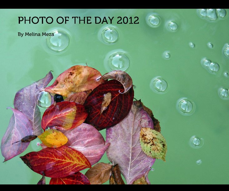 Bekijk PHOTO OF THE DAY 2012 op melinameza
