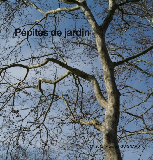 View Pépites de jardin by François Guignard