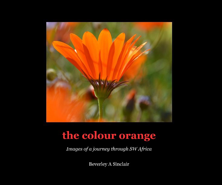 View the colour orange by Beverley A Sinclair