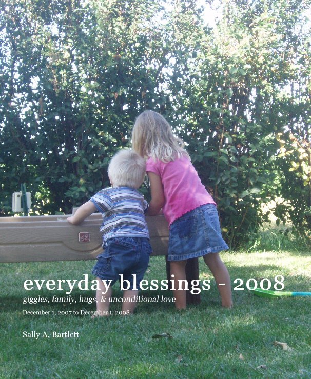 View everday blessings - 2008 by Sally A. Bartlett