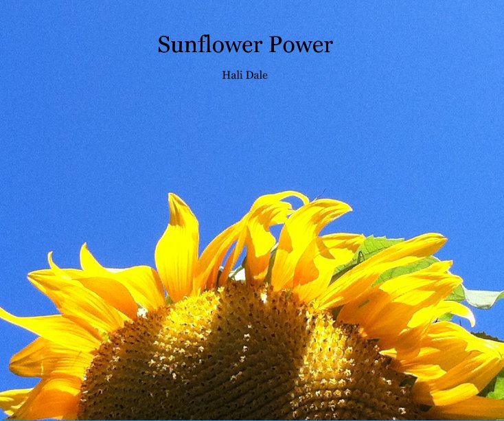 Ver Sunflower Power por Hali Dale