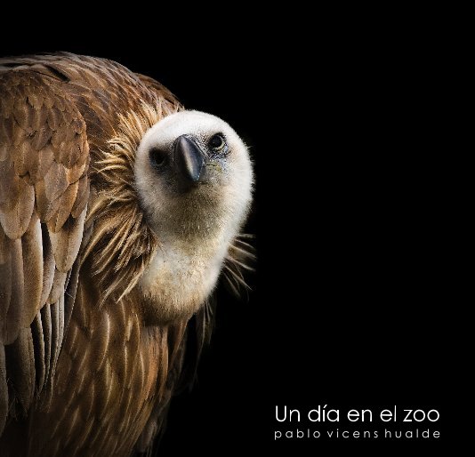 Ver Un día en el zoo por Pablo Vicens Hualde