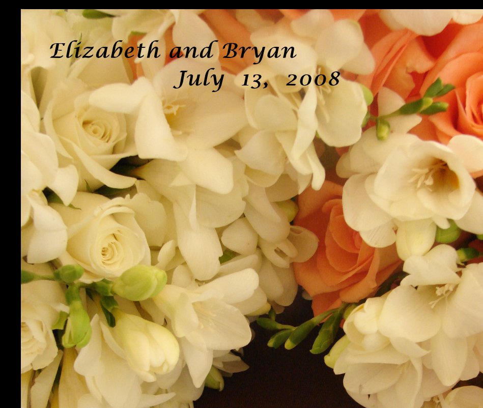 Ver Elizabeth and Bryan July 13, 2008 por doc1ab