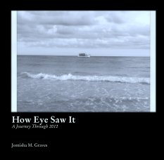 How Eye Saw It
A Journey Through 2012 book cover