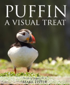 Puffins book cover