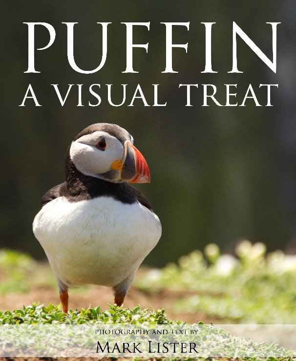 View Puffins by Mark Lister