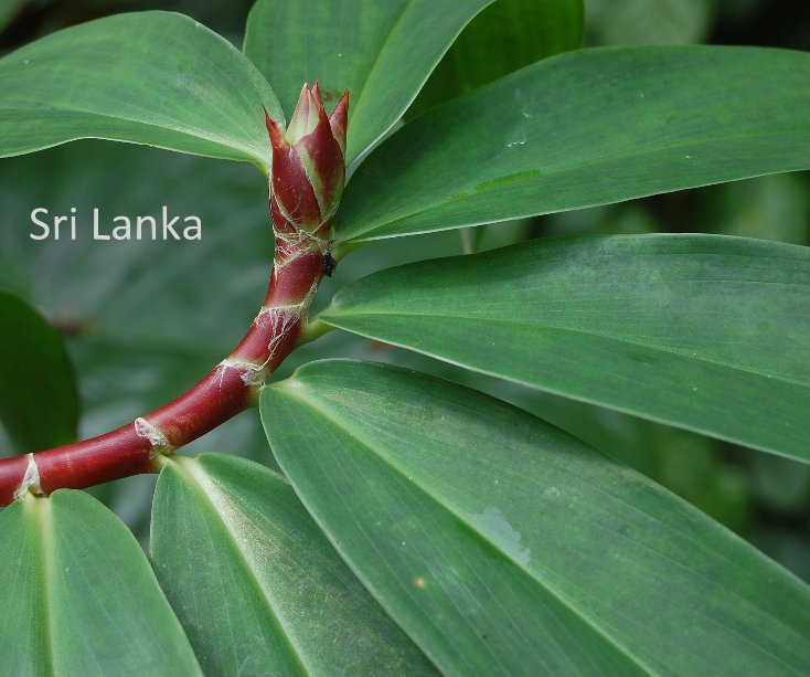 Bekijk Sri Lanka op Jacqueline Jays