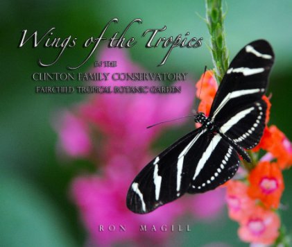 Wings of the Tropics book cover