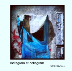 Instagram et collégram book cover