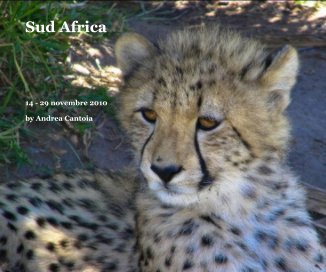 Sud Africa book cover