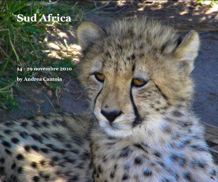 View Sud Africa by Andrea Cantoia