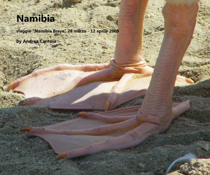 View Namibia by Andrea Cantoia