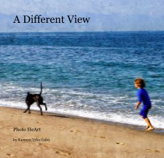 A Different View book cover