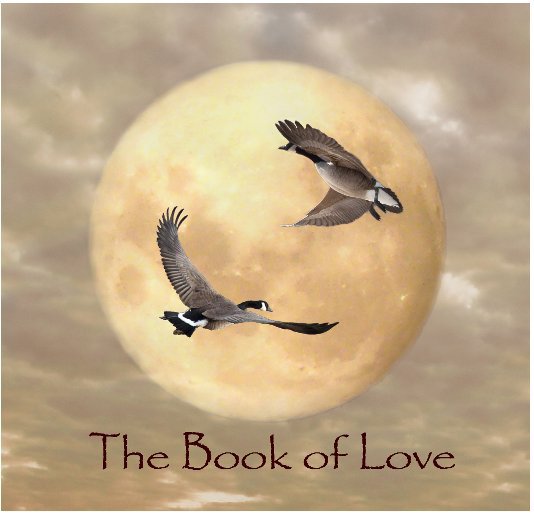 View The Book of Love by Werner Elmker