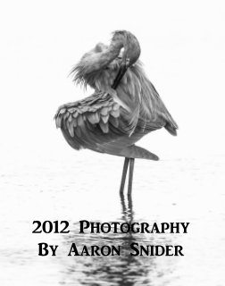 2012 Photography book cover