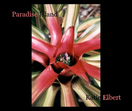 Paradise Island Katie Elbert book cover
