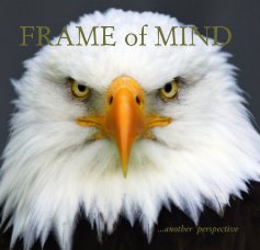 FRAME of MIND book cover