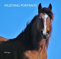 MUSTANG PORTRAITS book cover