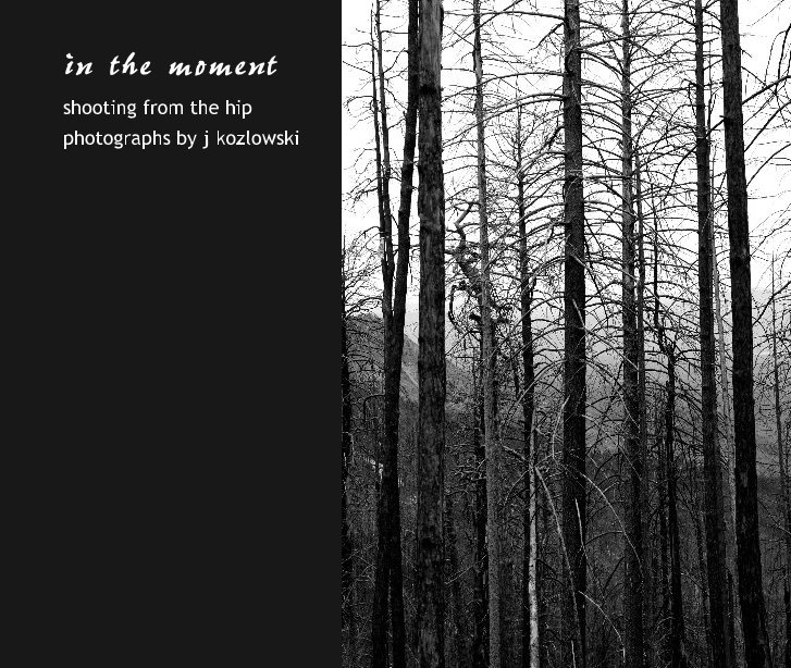 Ver in the moment por photographs by j kozlowski