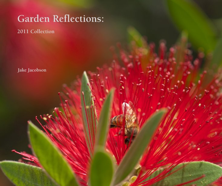 View Garden Reflections: Collection 2011 by Jake Jacobson