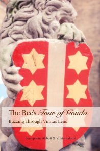 The Bee's Tour of Gouda Buzzing Through Vinita's Lens book cover
