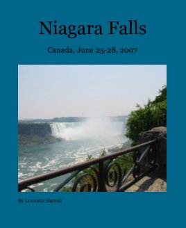 Niagara Falls book cover