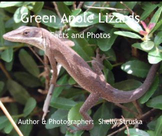 Green Anole Lizards book cover