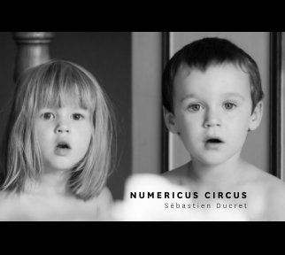 Numericus Circus 2012 book cover