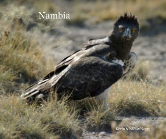 Nambia book cover