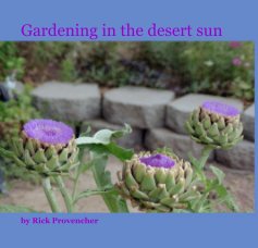 Gardening in the desert sun book cover