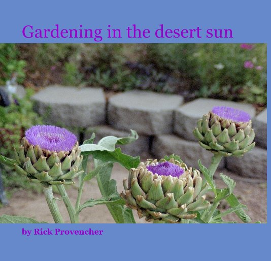 View Gardening in the desert sun by Rick Provencher