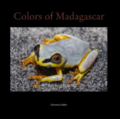 Colors of Madagascar book cover