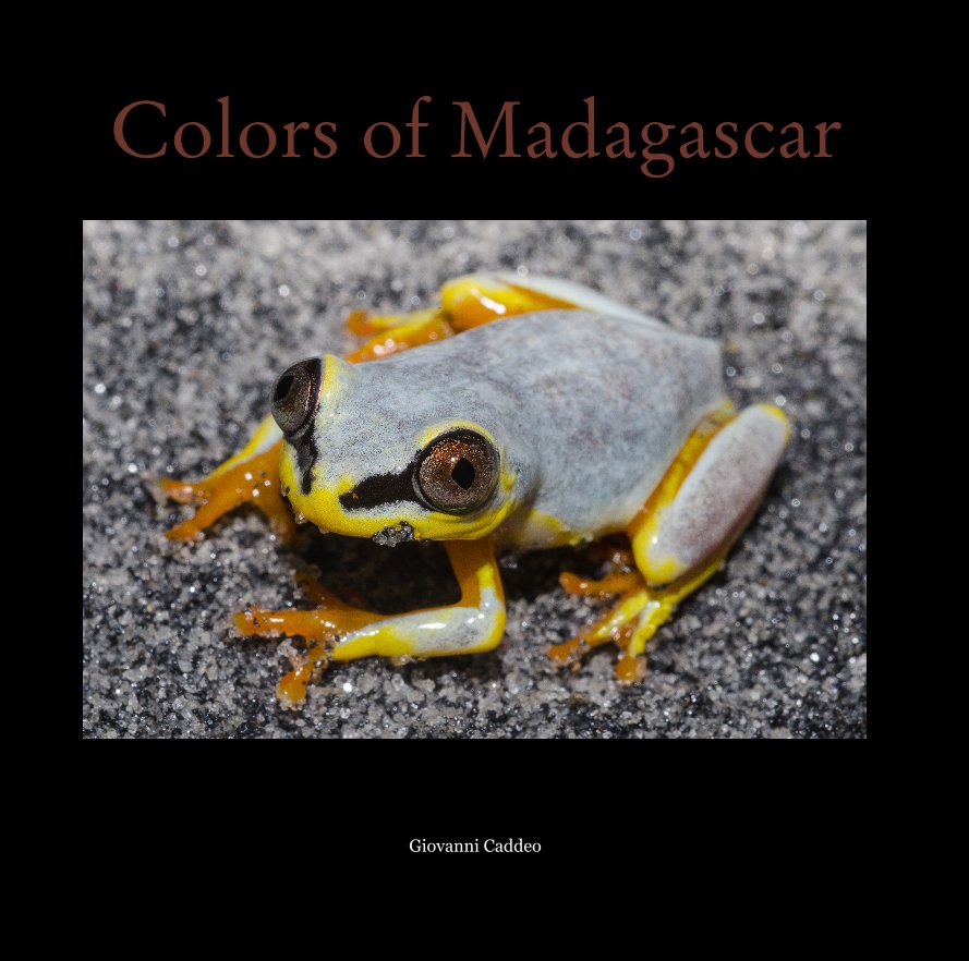 View Colors of Madagascar by Giovanni Caddeo