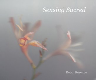 Sensing Sacred book cover
