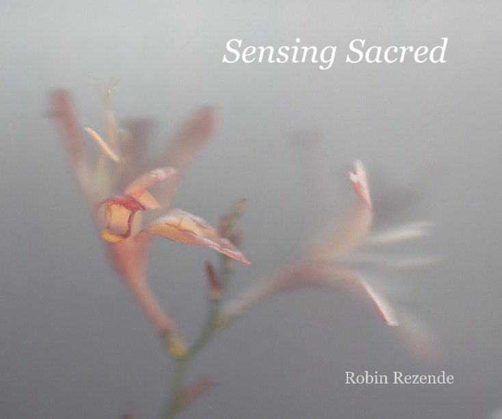 View Sensing Sacred by Robin Rezende