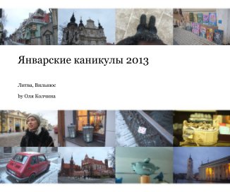 Январские каникулы 2013 book cover
