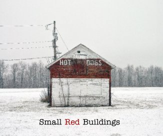 Small Red Buildings book cover
