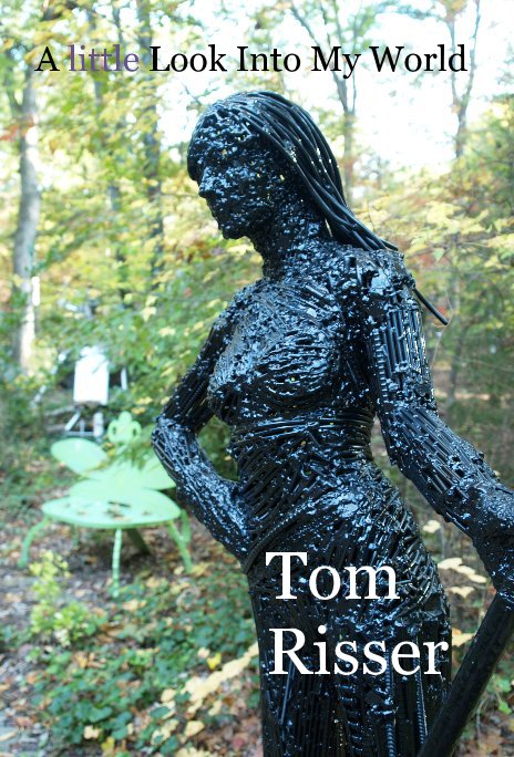 View A little Look Into My World by Tom Risser