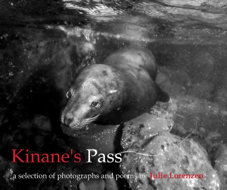 View Kinane's Pass by Julie Lorenzen