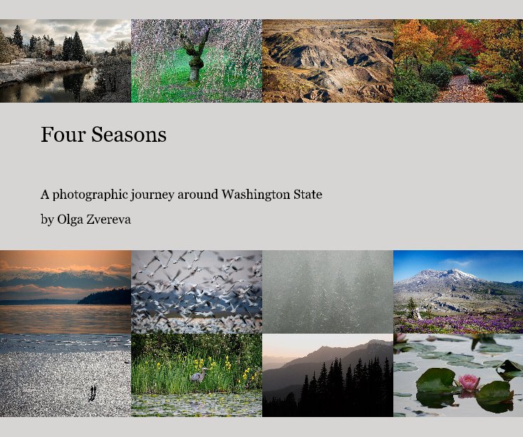 View Four Seasons by Olga Zvereva