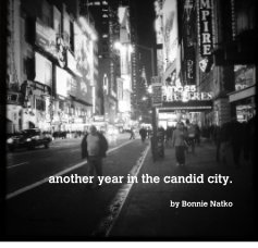 another year in the candid city. book cover