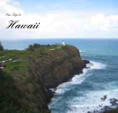 Our Trip to Hawaii book cover