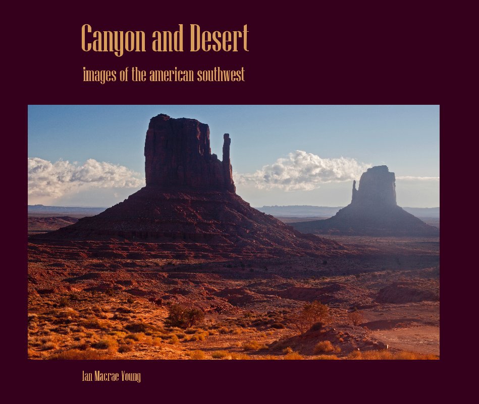 View Canyon and Desert by Ian Macrae Young