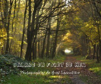 Balade en forêt de Hez book cover