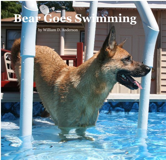 View Bear Goes Swimming by William D. Anderson